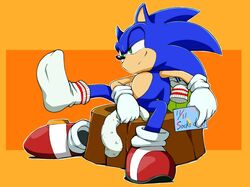  abstract_background anthro blue_body clothing digital_media_(artwork) eulipotyphlan feet foot_fetish footwear footwear_aside gift gloves handwear hedgehog legwear male mammal orange_background pattern_clothing pattern_footwear pattern_legwear pattern_socks raised_foot sega shoppaaaa simple_background socks solo sonic_the_hedgehog sonic_the_hedgehog_(series) striped_clothing striped_footwear striped_socks stripes tree_stump watermark 