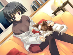  asou_asuna black_hair black_pantyhose black_shirt breasts canine couch female game_cg grey_sweater indoors large_breasts long_sleeves mitsumi_misato pantyhose pekingese petting red_skirt shirt short_hair skirt solo sweater table tenshi_no_inai_12-gatsu window 