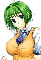  aqua_eyes bad_link breasts comic_party female green_hair huge_breasts looking_at_viewer ooba_eimi ribucci school_uniform short_hair smile solo 