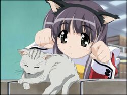  animal_ear_headwear animal_ears anime_screenshot black_eyes black_hair blush book book_stack cat_ears dot_nose fake_animal_ears feline female grey_cat kokoro_(kokoro_toshokan) kokoro_toshokan long_hair long_sleeves paw_pose school_uniform solo 