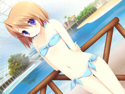  bare_shoulders bikini blue_eyes blush brown_hair female game_cg highres kicking_horse_rhapsody lolicon midriff miyasu_risa pool short_hair solo swimsuit tsuji_shino 