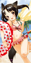  animal_ears bikini black_hair brown_eyes cat_ears dog_ears dog_tail female innertube inuburo nicomi.com running short_hair smile solo swim_ring swimsuit tail towel twintails watermark web_address 