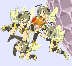  5girls antennae arthropod_girl bee_girl brown_hair commentary_request honeycomb_(pattern) honeycomb_background monster_girl multiple_girls original pukao short_hair wasp wasp_girl wasp_nest wings 