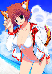  animal_ears beach bikini blue_eyes breasts cat_ears cleavage cloud conch copyright_request day female huge_breasts kusaka_souji ocean outdoors seashell shell shell_to_ear solo swimsuit tail white_bikini 