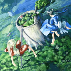  2girls barefoot braid copyright_request fantasy flying forest landscape multiple_girls myu_(neorosi) nature outdoors scenery 