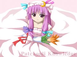  meirin patchouli_knowledge tagme touhou 