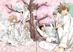  &quot;sakura&quot;_hime 2girls 4boys absurdres against_tree black_hair blonde_hair brown_eyes brown_hair cherry_blossoms clamp_(circle) fai_d._flowright highres kurogane_(tsubasa_chronicle) li_&quot;xiaolang&quot; looking_at_viewer lying mokona multiple_boys multiple_girls on_back outdoors sakura_hime short_eyebrows sitting smile tree tsubasa_chronicle xiaolang 