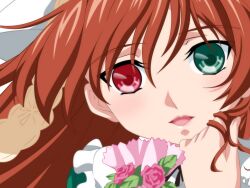  bicolored_eyes close facial flowers rozen_maiden suiseiseki 