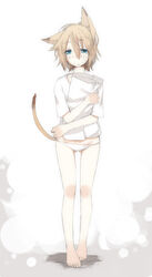  animal_ears brown_hair cat_ears cat_tail commentary_request female looking_at_viewer majima_yuki no_pants original panties shirt simple_background solo t-shirt tail underwear white_background 