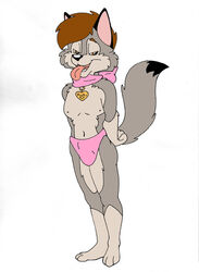  anthro bark!_(artist) brown_eyes brown_hair canid canine canis clothed clothing collar collar_tag crossdressing dipstick_tail femboy hair hands_behind_back leg_markings looking_down male mammal markings multicolored_tail panties pink_clothing pink_panties pink_underwear scarf socks_(marking) solo tail tail_markings tongue tongue_out two_tone_tail underwear wolf young young_anthro young_male 