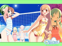  5girls beach beach_volleyball bikini blush day food frilled_bikini frills fruit garden_(game) gayarou himemiya_ruri holding holding_food holding_fruit holding_watermelon hoshino_erika multiple_girls oerba_yun_fang orange_print otokawa_sayo outdoors rindou_mana smile striped_bikini striped_clothes suzumura_azami swimsuit tankini volleyball watermelon 