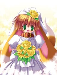  animal_ears aoi_yuuji bouquet bridal_veil bride collar dog_ears dog_tail dress elbow_gloves female flower gloves green_eyes hair_flower hair_ornament highres orange_hair pochiko_(puni_puni_handmaid) puni_puni_handmaid solo tail veil wedding_dress 