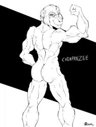  2021 anthro ape ass chimpanzee fangs fist flexing flexing_bicep fur haplorhine head_turned hi_res looking_at_viewer male mammal marcushunter monochrome muscular muscular_anthro muscular_male nude pan_(genus) primate rear_view signature smile smiling_at_viewer solo standing teeth text 