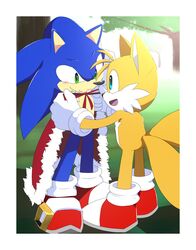  anthro blue_body blue_eyes blue_fur blush border canid canine cape clothing duo eulipotyphlan footwear fox fur gloves green_eyes handwear hedgehog hi_res kalk427 male mammal outside sega shoes smile sonic_the_hedgehog sonic_the_hedgehog_(series) tails white_body white_border white_fur yellow_body yellow_fur 