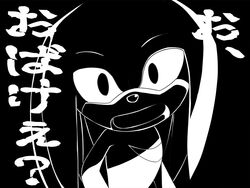  4:3 anthro black_and_white echidna japanese_text kalk427 knuckles_the_echidna male mammal monochrome monotreme open_mouth sega solo sonic_the_hedgehog_(series) text translated 