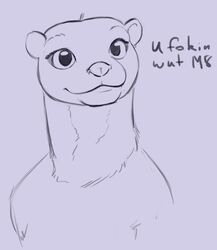  2019 ambiguous_gender anthro dialogue digital_media_(artwork) english_text eyelashes fur hi_res looking_at_viewer lord_magicpants mammal mustelid otter portrait simple_background smile solo text 