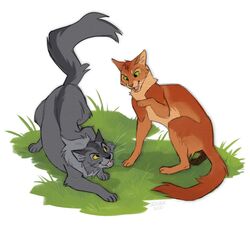  2021 ambiguous_gender brown_body brown_fur digital_media_(artwork) domestic_cat duo felid feline felis feral firestar_(warriors) flat_colors fur grass graystripe_(warriors) green_eyes grey_body grey_fur jeniak male_(lore) mammal plant warriors_(book_series) yellow_eyes 