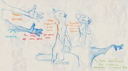  2016 absurd_res anatomy anatomy_reference anthro canid canine disney english_text fox hi_res how-to male mammal monoflax nick_wilde nude simple_background solo text traditional_media_(artwork) white_background zootopia 