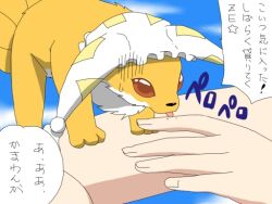  animal commentary_request female fox hands hat red_eyes shirosato touhou translated yakumo_ran yakumo_ran_(fox) ze_(phrase) 