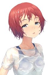  bad_id bad_pixiv_id black_eyes female highres maeda_risou original red_hair school_swimsuit see-through short_hair simple_background solo swimsuit swimsuit_under_clothes upper_body wet wet_clothes white_background 