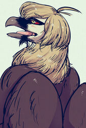  accipitrid accipitriform ambiguous_gender avian bearded_vulture bird bubonikku hi_res old_world_vulture semi-anthro solo vulture 