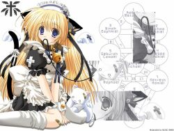  animal animal_ears blonde_hair blue_eyes catgirl feline long_hair nekoneko nurse original tagme tail thighhighs 