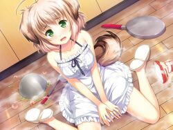  animal_ears blush breasts brown_hair dog_ears doggirl dress female food game_cg gradient_hair green_eyes highres indoors koya_chachako looking_at_viewer multicolored_hair otomimi_infinity ribbon solo steam tail tears 