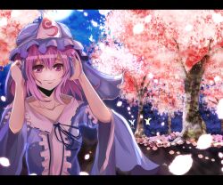  bad_id bad_pixiv_id blush bug butterfly cherry_blossoms dress female hat letterboxed petals pink_eyes pink_hair saigyouji_yuyuko short_hair smile solo sparkle touhou triangular_headpiece velia 