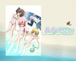  3girls ayasaki_hayate beach bikini blonde_hair blue_eyes blue_hair brown_hair butler folded_ponytail green_eyes hayate_no_gotoku! katsura_hinagiku maid_headdress maria maria_(hayate_no_gotoku!) multiple_girls pink_hair red_eyes sanzen&#039;in_nagi sanzenin_nagi swimsuit yellow_eyes 