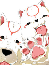  amaterasu_(ookami) animal canine chibiterasu commentary_request foreshortening mother_and_son nabe_(ingenmame) no_humans okami ookamiden simple_background teeth tongue 