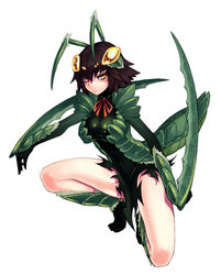  animal_hands antennae arm_blade armor arthropod_girl bare_legs brown_hair extra_eyes female full_body kenkou_cross looking_at_viewer lowres mantis_(monster_girl_encyclopedia) mantis_girl monster_girl monster_girl_encyclopedia official_art pauldrons praying_mantis ribbon scythe short_hair shoulder_armor simple_background solo squatting thighs weapon white_background yellow_eyes 