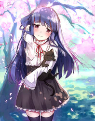  adjusting_hair animal black_hair black_skirt blouse blue_hair blush cherry_blossoms commentary_request cowboy_shot dappled_sunlight dress feline female frilled_skirt frills head_tilt holding holding_animal idolmaster idolmaster_cinderella_girls long_hair long_sleeves looking_at_viewer miniskirt neck_ribbon nemeko outdoors pero_(idolmaster_cinderella_girls) red_eyes red_ribbon ribbon sajo_yukimi shirt skirt smile solo sunlight thighhighs tree white_shirt zettai_ryouiki 