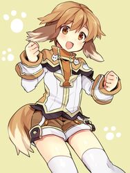  1boy animal_ears bad_id bad_pixiv_id blush brown_eyes brown_hair dog_boy dog_ears dog_tail hair_between_eyes highres looking_at_viewer male_focus open_mouth paw_print pop-up_story school_uniform short_shorts shorts solo st._feles_gakuen_uniform tail thighhighs utsunomiya_hetaru white_thighhighs yuuri_lessen 