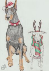  canid canine canis christmas collar deer dobermann domestic_dog duo female feral greyhound hi_res holidays hunting_dog male mammal pinscher scarf sighthound traditional_media_(artwork) whippet yenza 