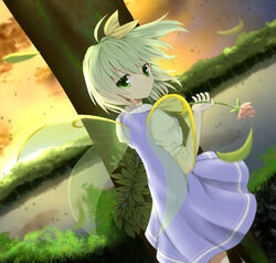  bow bunchou_(bunchou3103) commentary_request daiyousei dress dutch_angle fairy fairy_wings female flower green_eyes green_hair hairbow ribbon short_hair side_ponytail solo touhou wind wings 