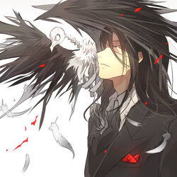  1boy alucard_(castlevania) arikado_genya bishounen black_hair black_necktie black_suit bone brown_eyes castlevania_(series) commentary_request feathers formal kariya_(mizore) long_hair male_focus necktie photoshop_(medium) skull solo suit 