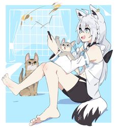  ahoge animal_ear_fluff animal_ears azu_(shirakami_fubuki) barefoot black_shorts blue_neckerchief braid cat_teaser commentary detached_sleeves donkoni earrings feet feline female fox_ears fox_girl fox_tail grey_hair hair_between_eyes highres holding hololive hood hoodie jewelry knees_up leo_(shirakami_fubuki) long_hair neckerchief open_mouth pentagram shirakami_fubuki shirakami_fubuki_(1st_costume) short_shorts shorts sidelocks single_braid sitting soles solo tail toes virtual_youtuber white_hoodie 