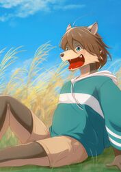  2022 absurd_res anthro bangs blue_clothing blue_eyes blue_hoodie blue_topwear bottomwear brown_body brown_fur brown_hair canid canine canis clothed clothing colored countershade_face countershade_torso countershading fangs field fully_clothed fur grey_nose hair hi_res hoodie khaki_shorts male mammal morenatsu multicolored_body multicolored_fur open_mouth outside ry_o shorts shun_(morenatsu) sitting sitting_on_ground sky smile solo tan_body tan_fur teeth topwear two_tone_body two_tone_fur wolf 