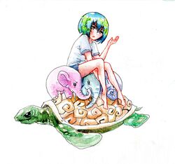  animal aqua_hair blue_hair discworld earth-chan elephant female great_a&#039;tuin green_hair highres kingyollo multicolored_hair open_mouth original shirt short_hair shorts sitting t-shirt turtle two-tone_hair 