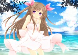  arms_behind_back bad_id bad_pixiv_id blush brown_hair commentary_request dress female highres long_hair ocean original outdoors purple_eyes smile solo sorakase_sawa two_side_up very_long_hair water 