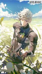  1boy artist_request bandaid belt cloud cloudy_sky day field flower flower_field grey_hair heterochromia highres male_focus official_art petals ponytail punishing:_gray_raven scar sky third-party_source watanabe:_astral_(punishing:_gray_raven) watanabe_(punishing:_gray_raven) 