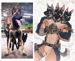  2022 3_heads anthro armband belt canid canine canis canyne_khai cerberus clothing collar domestic_dog duo european_mythology featureless_crotch feral gloves greek_mythology handwear male mammal mostly_nude multi_head mythology navel nipples photo standing thigh_strap 