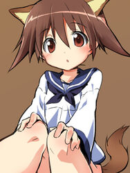  aikei animal_ears brown_eyes brown_hair dog_ears dog_girl dog_tail female lowres miyafuji_yoshika school_uniform serafuku short_hair solo strike_witches tail world_witches_series 