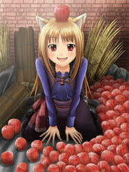  animal_ears apple bad_id bad_pixiv_id brown_hair female food fruit holo long_hair photoshop_(medium) red_eyes sheaf solo spice_and_wolf wheat wolf_ears yukihanaok 