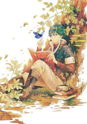  1boy ame_(conronca) blue_eyes blue_hair book boots bug butterfly commentary_request goggles male_focus open_book original pants sitting solo tree under_tree white_background 