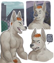  1boy anthro blushed canine cigarette dialogue furry glitter_trap_boy hair hairy hickey male male_only mammal muscular nipple_piercing nipples orange_hair original original_character piercing pubic_hair slim solo text unnamed_character 