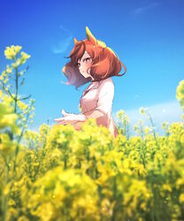  :o animal_ears blue_sky blurry blurry_background blurry_foreground breasts brown_eyes brown_hair cloud collared_shirt commentary_request day depth_of_field female field flower flower_field horse_ears horse_girl looking_away nice_nature_(umamusume) ouri_(aya_pine) outdoors parted_lips rapeseed_blossoms shirt sky small_breasts solo twintails umamusume upper_body white_shirt yellow_flower 