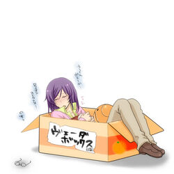  1boy bad_id bad_pixiv_id box cardboard_box glasses gundam gundam_00 hitori_(edge) in_container male_focus mikan_box purple_hair sleeping solo tieria_erde translated 