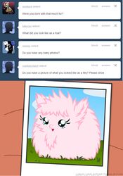  blue_eyes earth_pony english_text equid equine fan_character female feral fluffle_puff grass hair hasbro horse mammal mixermike622 my_little_pony photo pink_hair plant pony solo text young young_feral 