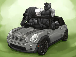  4:3 barefoot black_body black_fur canid canid_taur canine canine_taur canis car casual_nudity claws dipstick_tail feet fur grass grey_body grey_fur grisser inside_car male mammal mammal_taur markings mini_(car) multicolored_tail nude plant quadruped solo tail tail_markings taur vehicle white_body white_fur wolf wolf_taur 